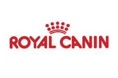 کیش پت لند فروشنده برند Royal Canin